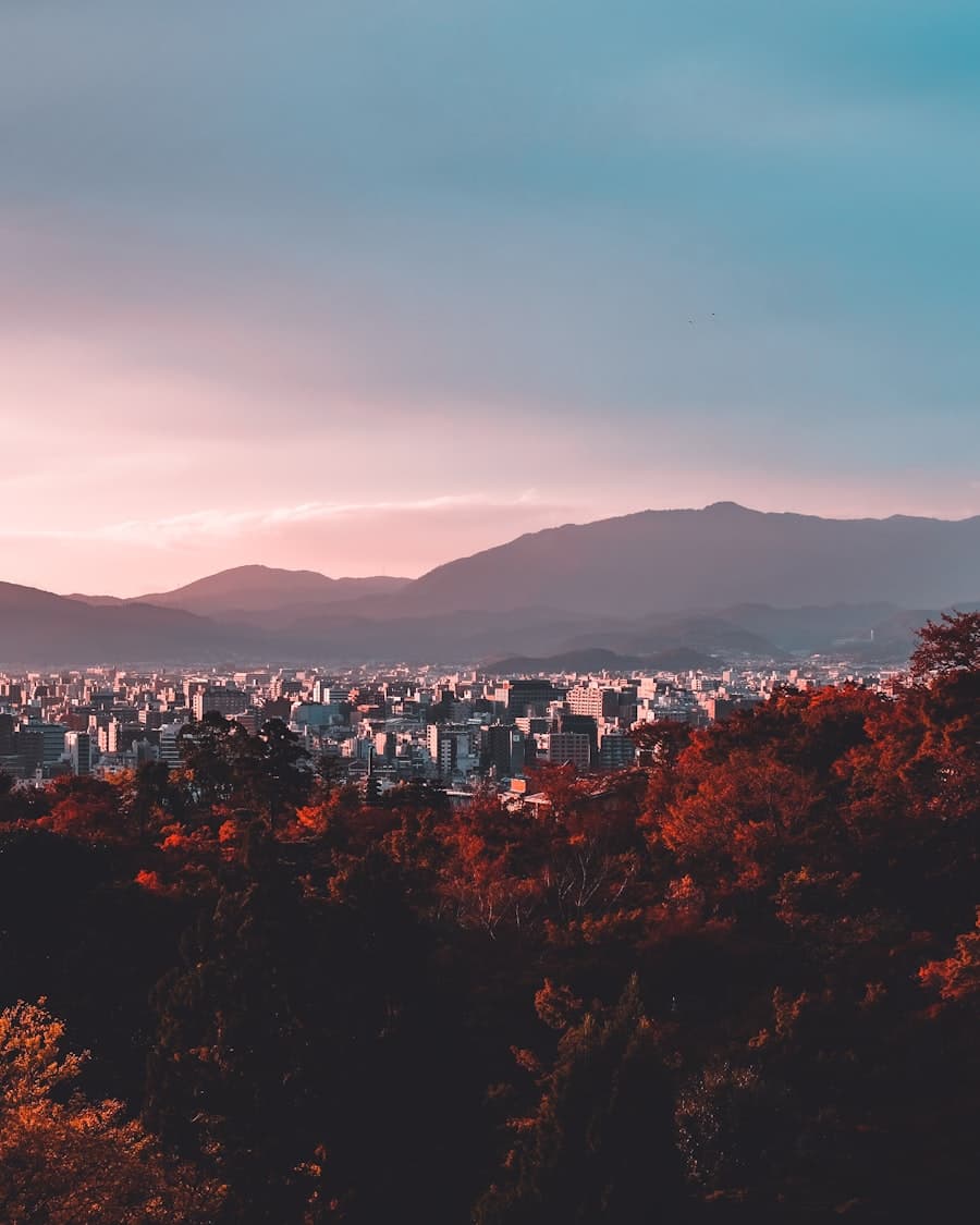 京都寺社的木结构与石径